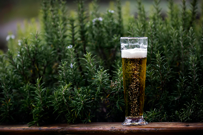  맥주 효모 : 탈모 예방부터 피부 건강까지!!