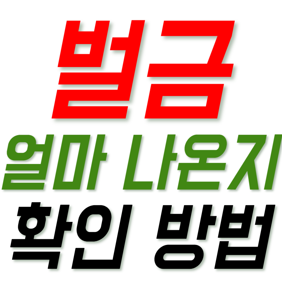 벌금 얼마 나왔는지 확인하는 방법 썸네일