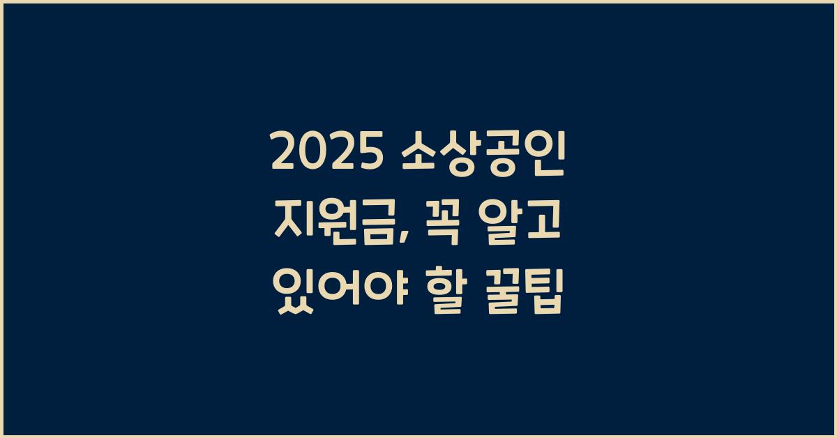 소상공인 지원금 2025