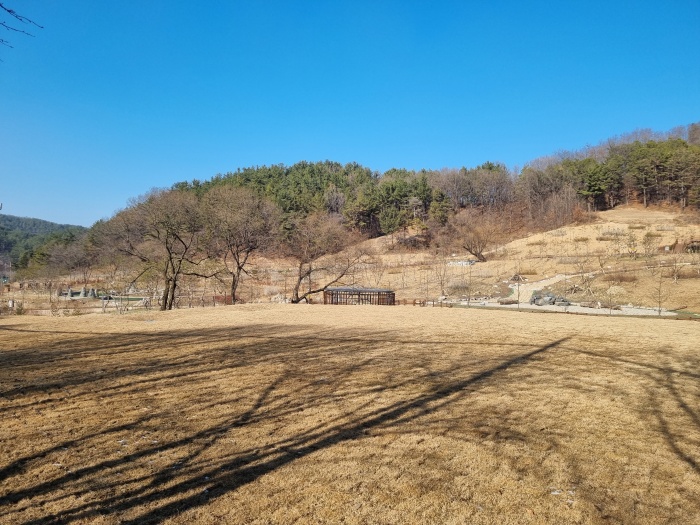 공원