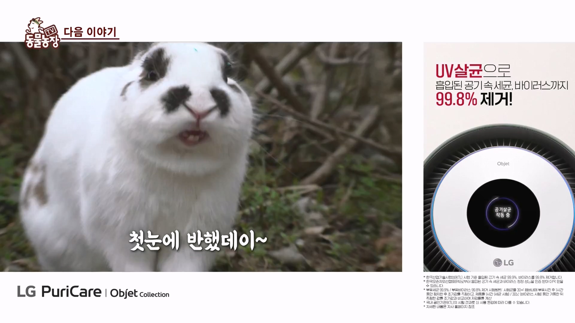 TV 동물농장.E1166.240407p-NEXT.mp4_20240407_164511.271.jpg