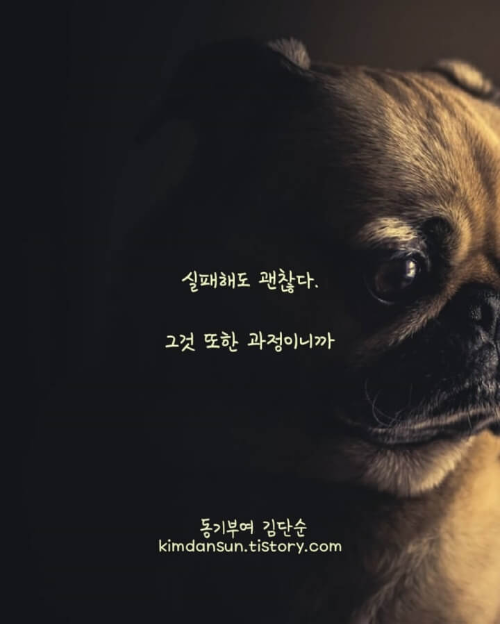 실패-글귀-사진4