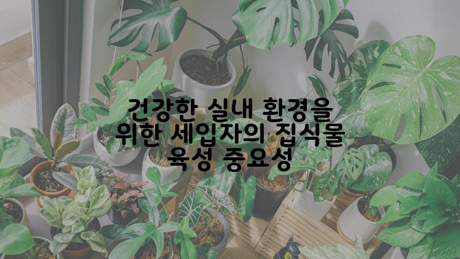 건강한 실내 환경을 위한 세입자의 집식물 육성 중요성