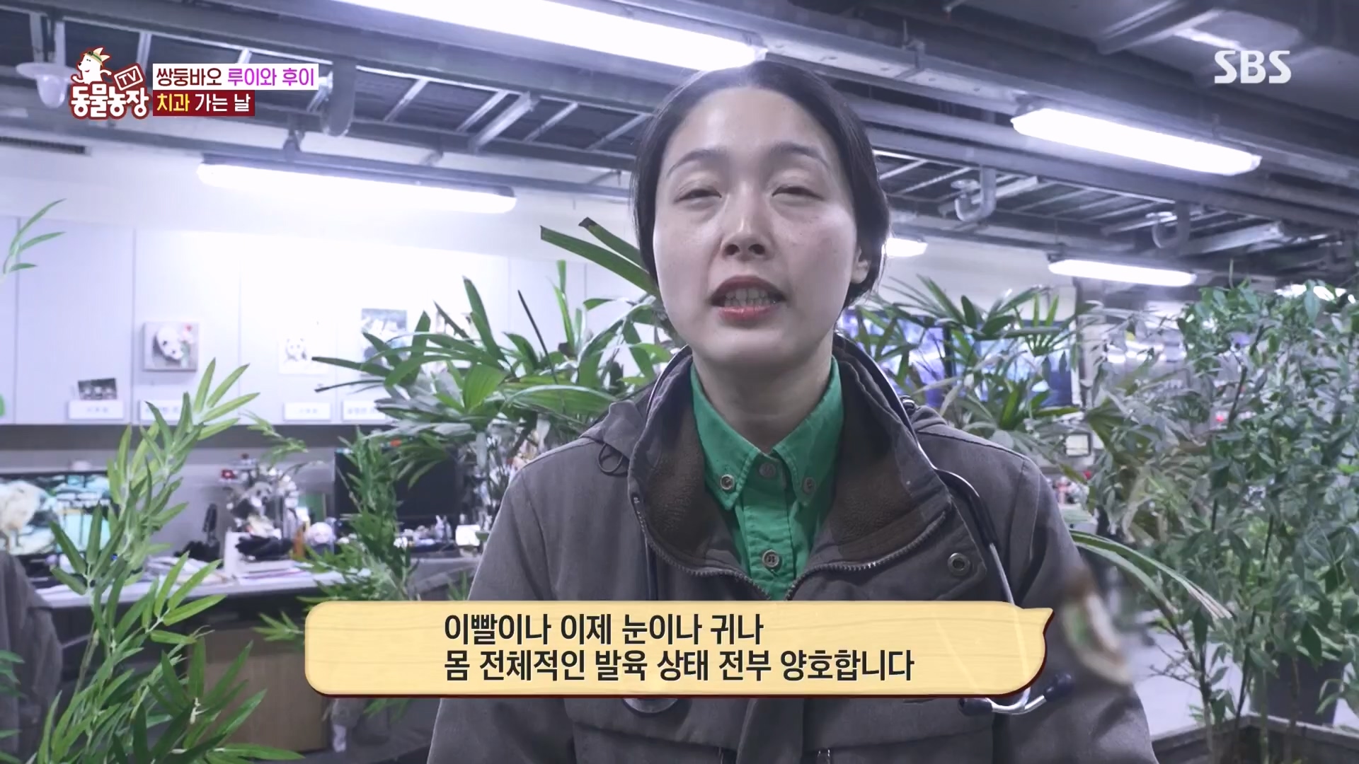 TV 동물농장.E1160.240225p.H264-F1RST.mp4_20240225_165129.643.jpg