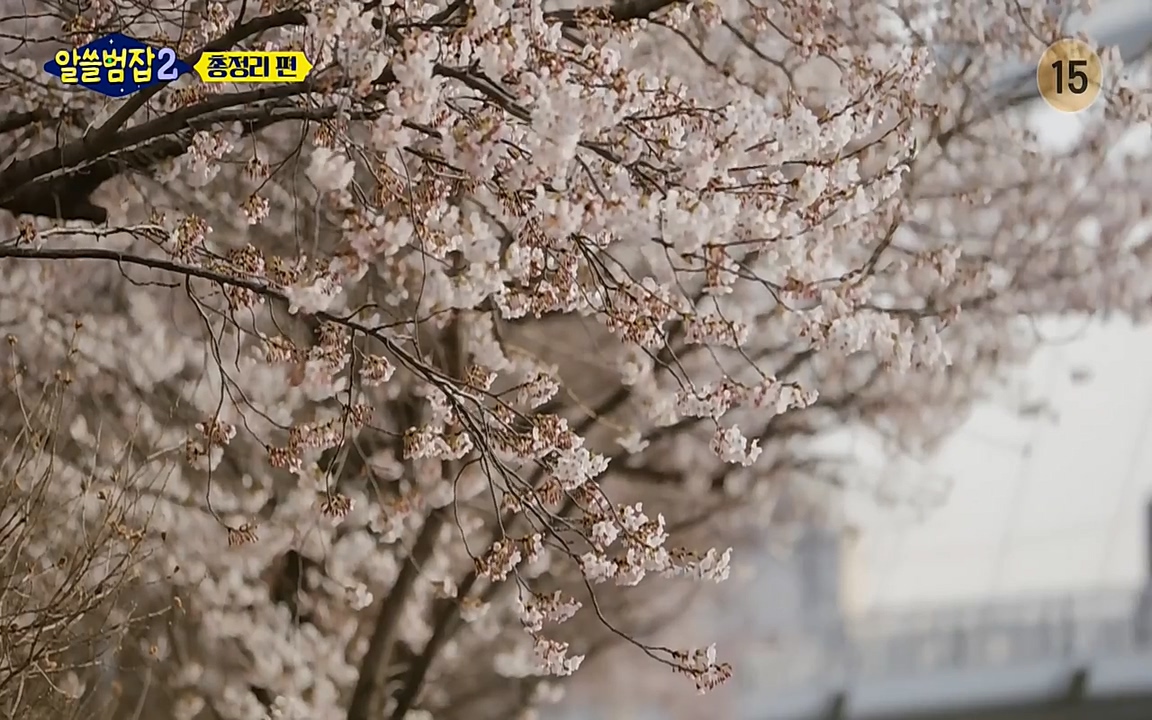 알쓸범잡 2.E16.220502p-NEXT.mp4_20220502_184815.166.jpg