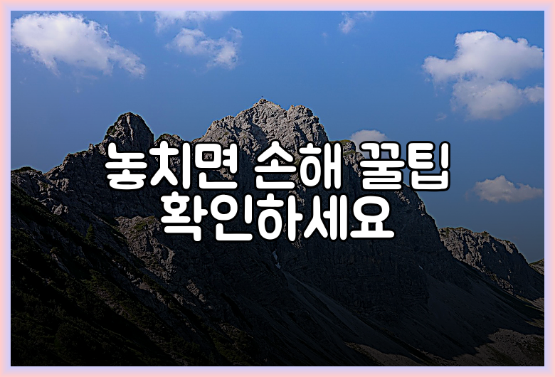 놓치면 손해 꿀팁 확인하세요
