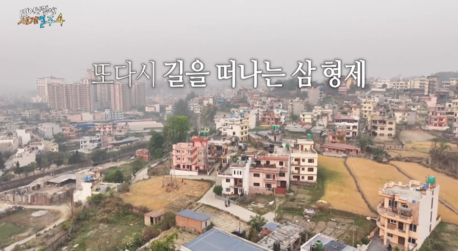 태계일주 시청자들 눈물 쬐끔 나왔다는 덱스와 4형제 이별 장면…jpg | 인스티즈
