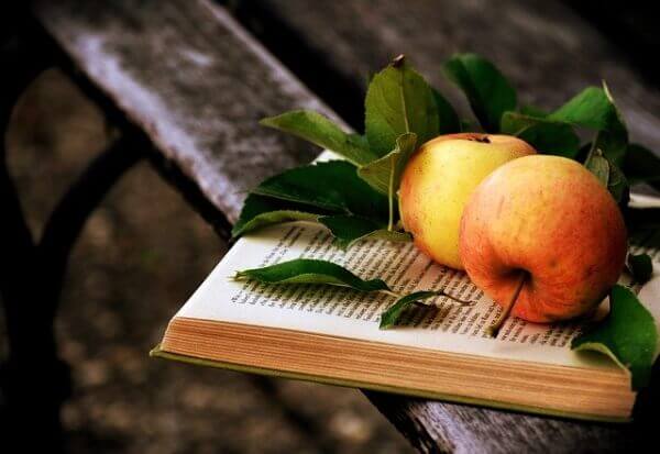 책 위에 사과가 있는 모습