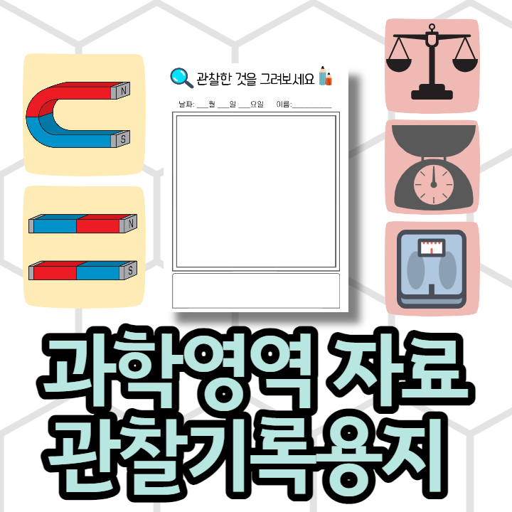  유치원, 어린이집 과학영역 자료, 관찰기록용지 등