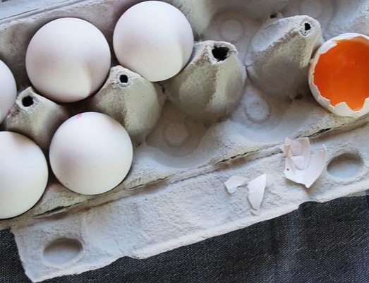 계란과 깨진 계란
