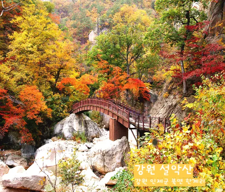 설악산 단풍사진
