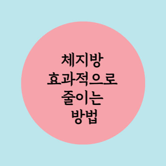  체지방 효과적으로 줄이는 방법