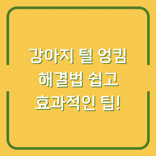 강아지 털 엉킴 해결법 쉽고 효과적인 팁!