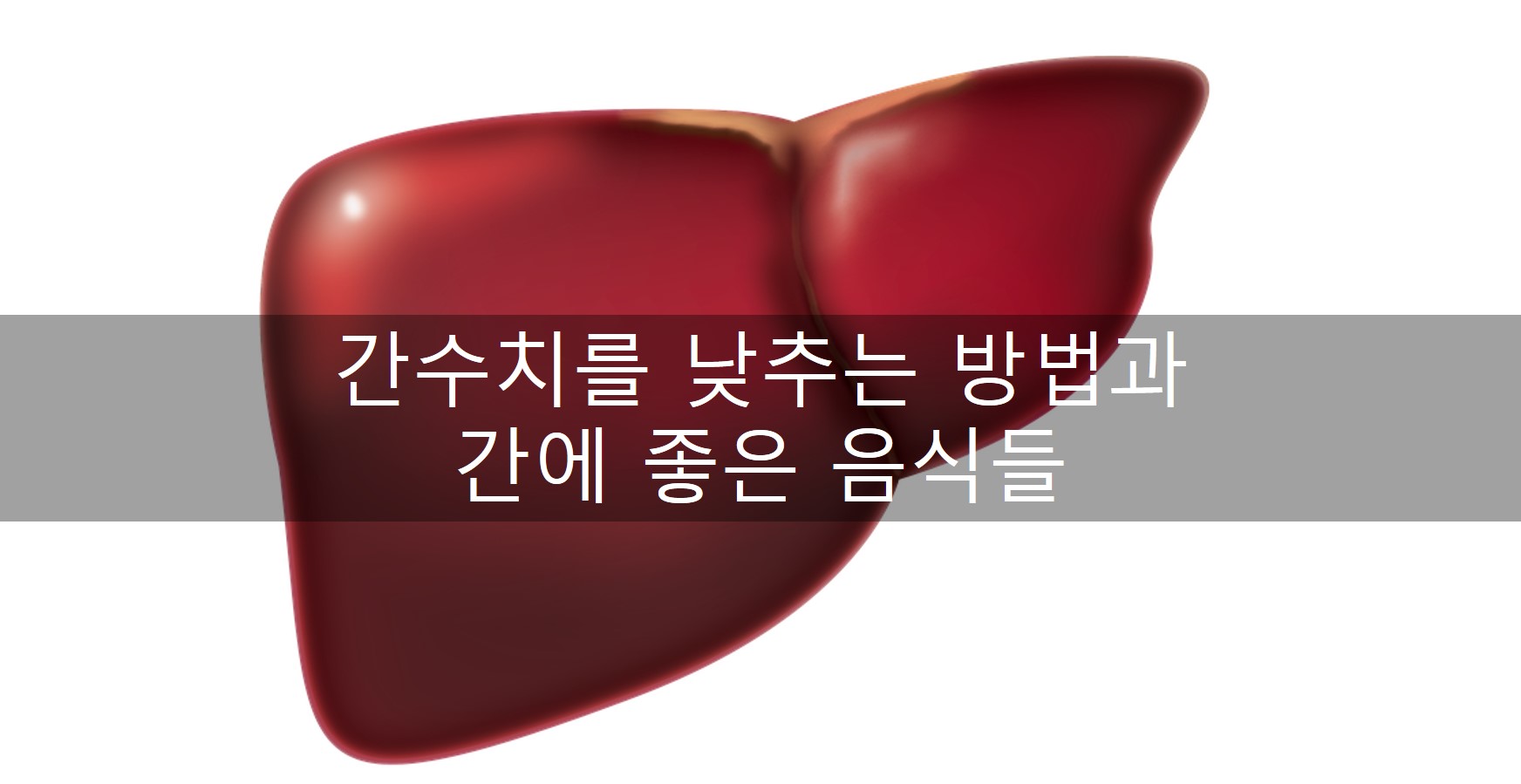 간수치 내리는 방법 / 간수치 정상범위 만들기