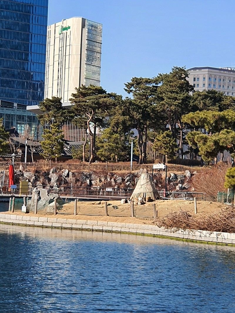  송도에 있는 토끼들의 지옥, 송도 센트럴파크 "토끼섬" (잔인한 사진 없음)