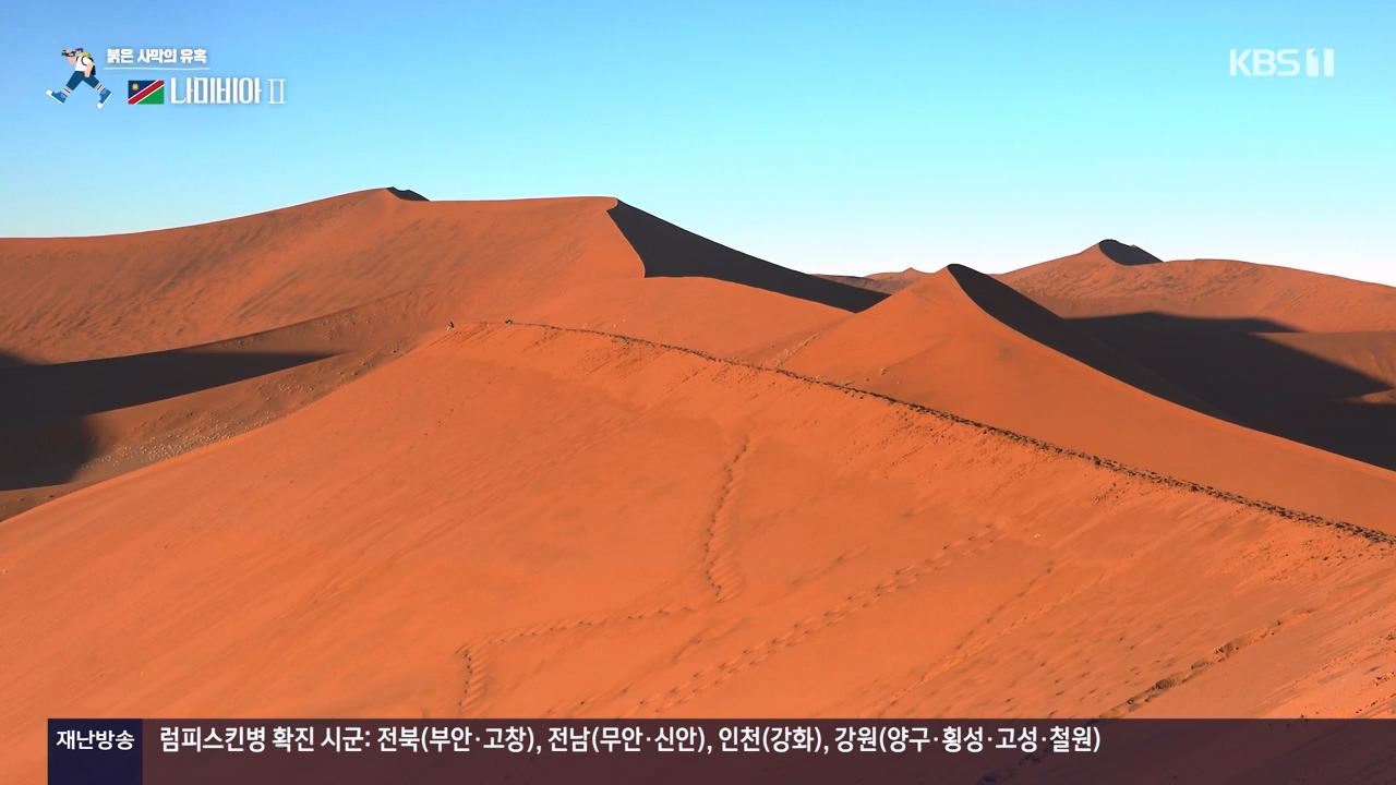 걸어서 세계속으로.E816.231105p-NEXT.mp4_20231104_175436.016.jpg