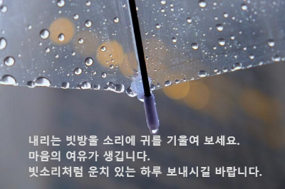 투명한 비닐 우산에 맺힌 빗방울