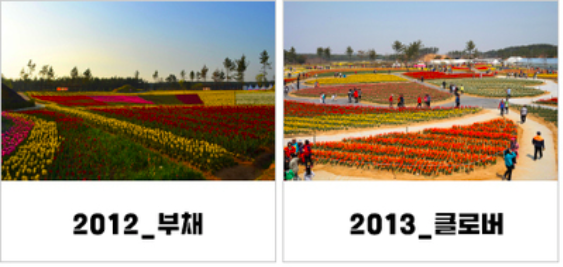 2023 태안 세계 튤립 꽃 박람회 개최일정 입장권 코리아 플라워 파크 박람회 소개