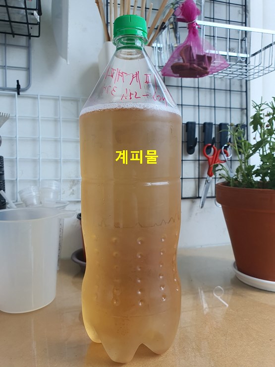 계피물 (1.5l)