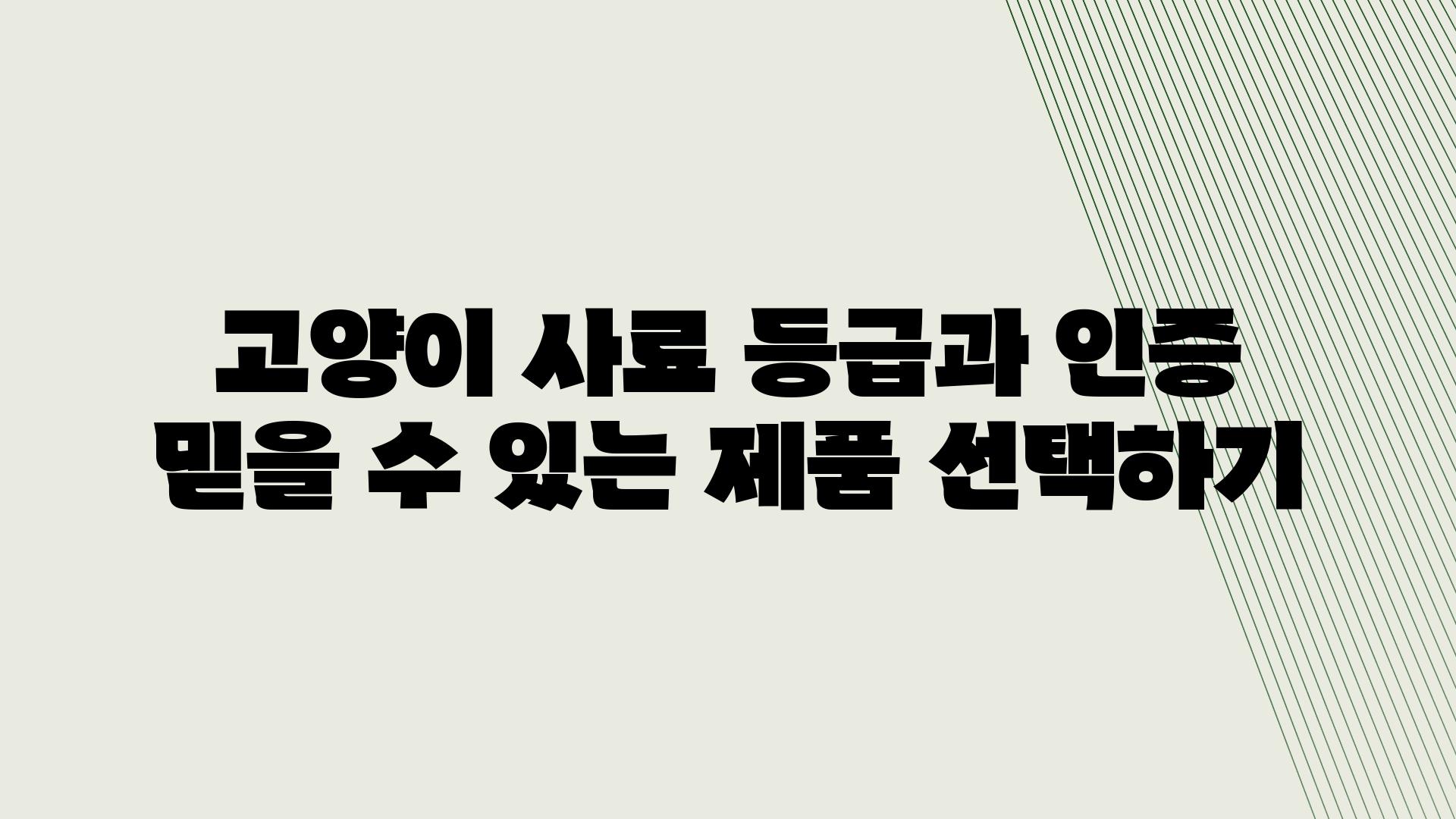 고양이 사료 등급과 인증 믿을 수 있는 제품 선택하기