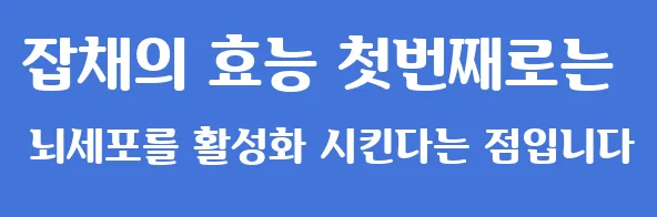 잡채의 효능 첫번째로는 뇌세포를 활성화 시킨다는 점입니다