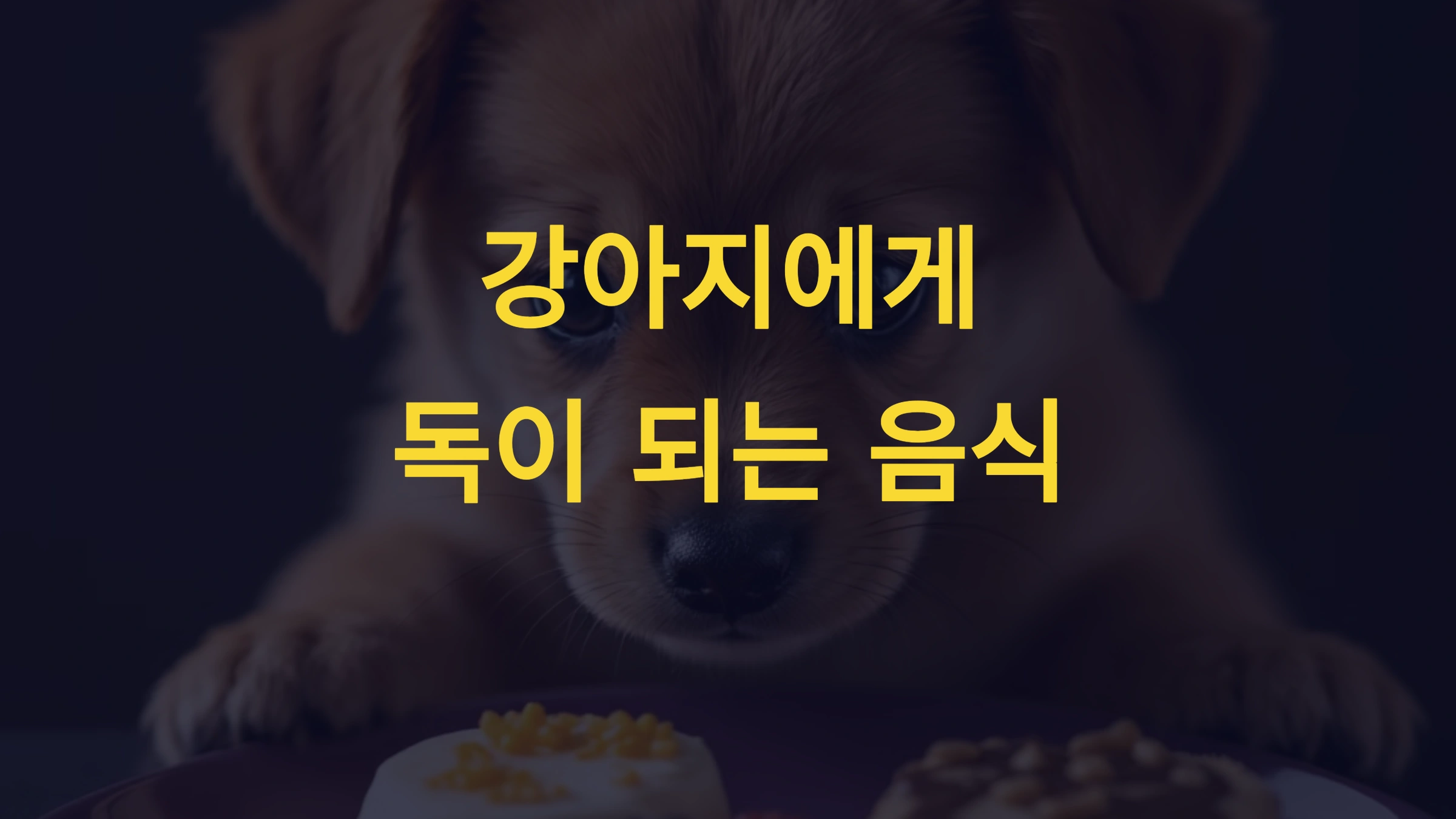 강아지와 초콜릿: 위험성과 대처법