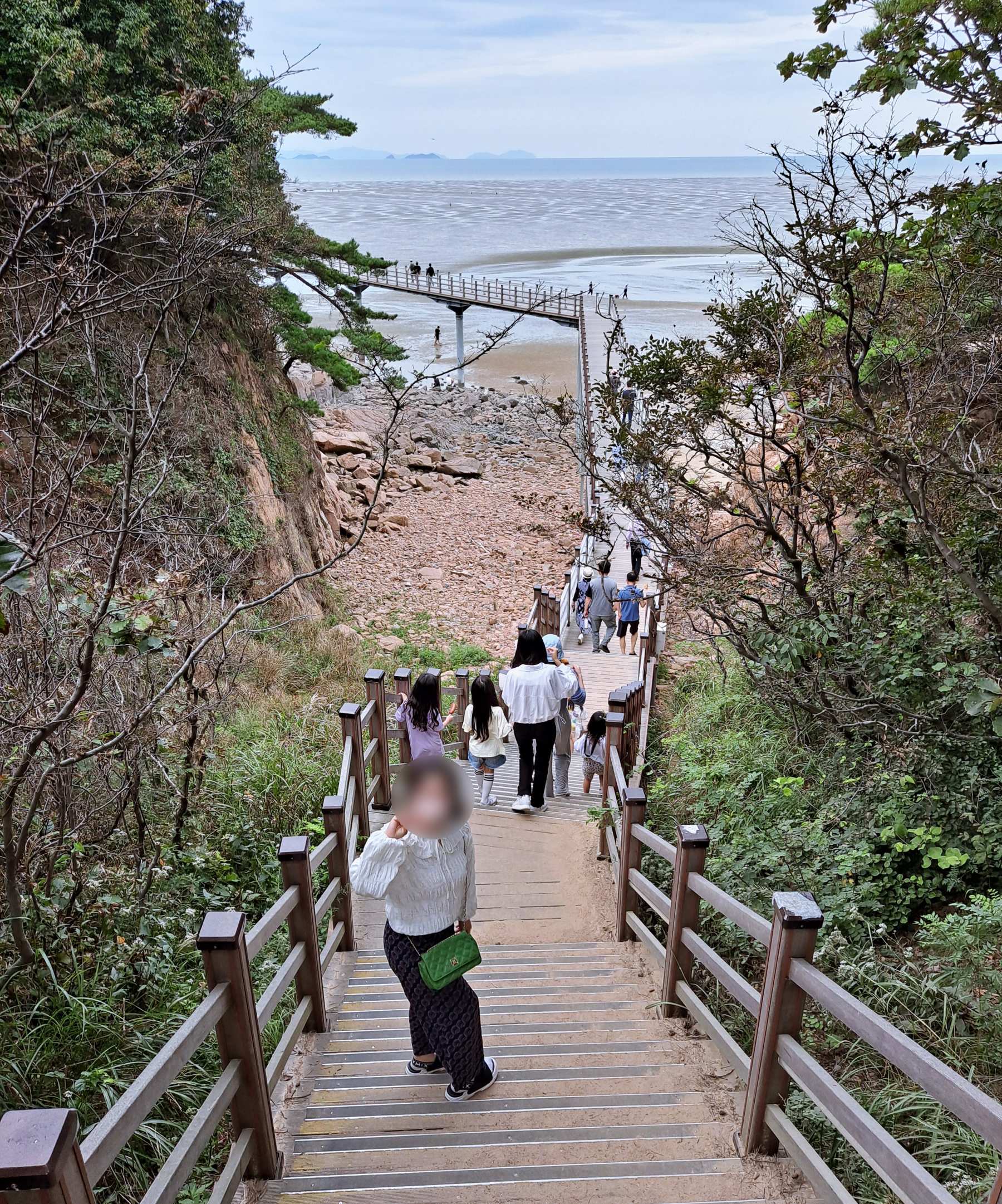 탐방로 내려가는 계단