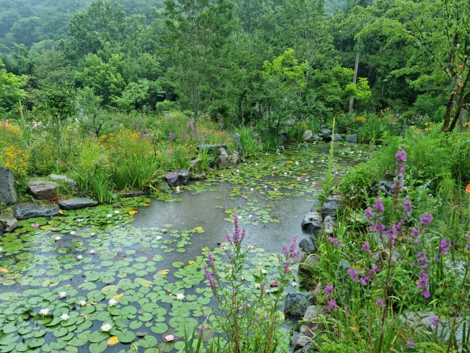 화순허브뜨락 이미지