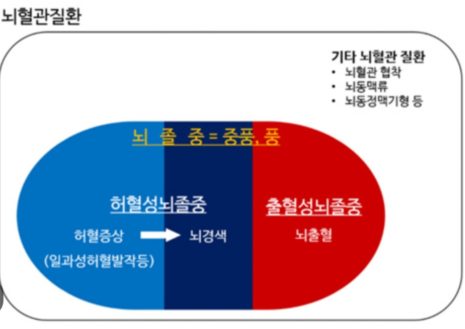 뇌혈관 질환