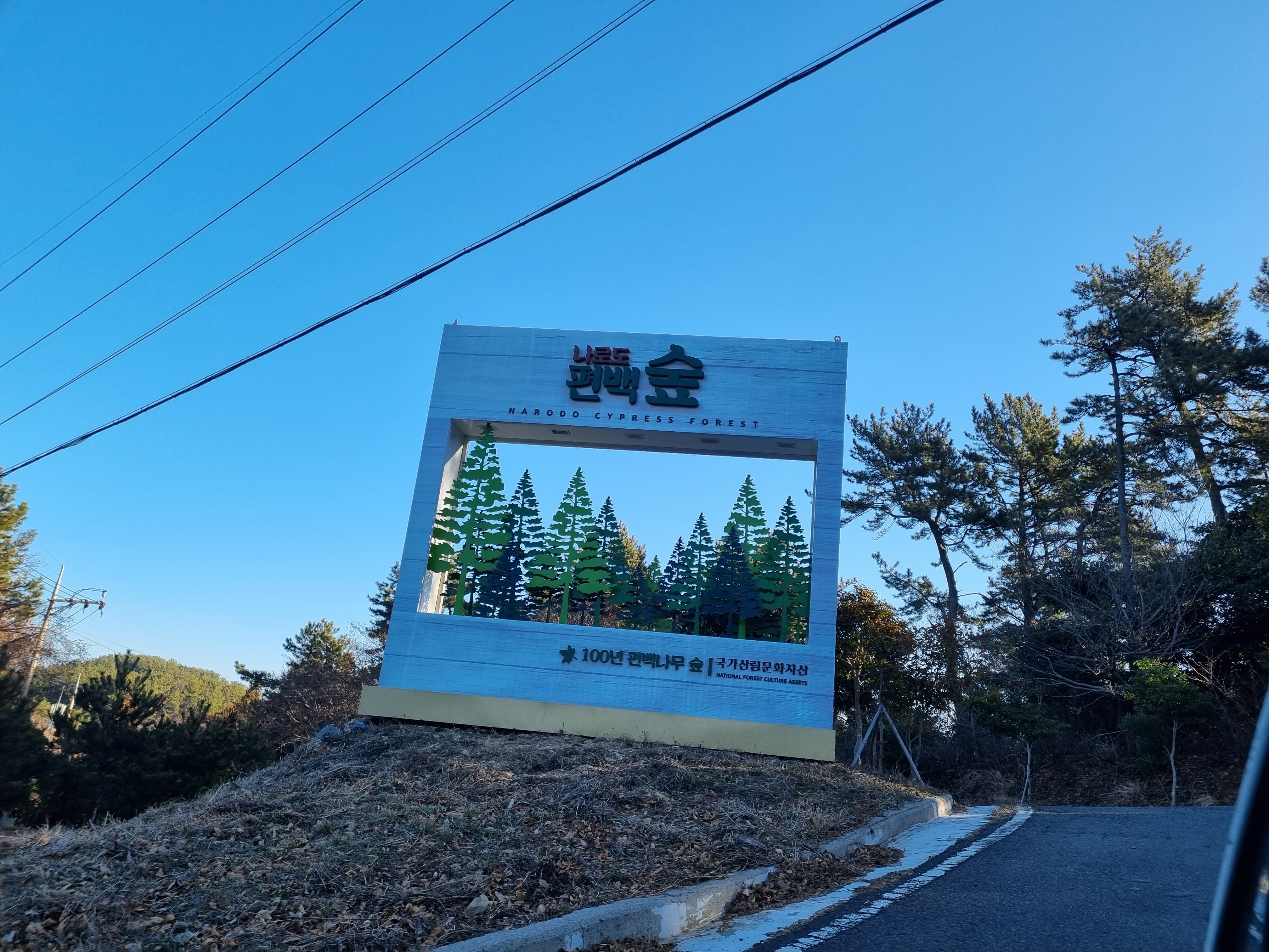 나로도 편백숲 입구
