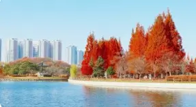 일산 호수공원