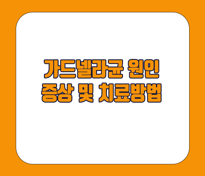 가드넬라균 원인 증상 치료방법