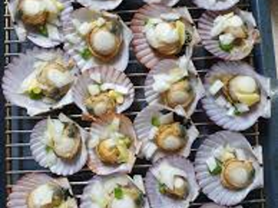 가리비 효능 10가지 18