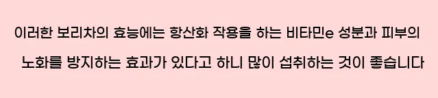  이러한 보리차의 효능에는 항산화 작용을 하는 비타민e 성분과 피부의 노화를 방지하는 효과가 있다고 하니 많이 섭취하는 것이 좋습니다