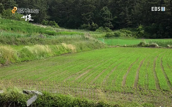 EBS 다큐프라임_ 220628.avi_20220629_210204.822.jpg