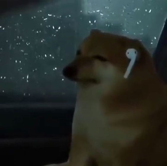  내일이면