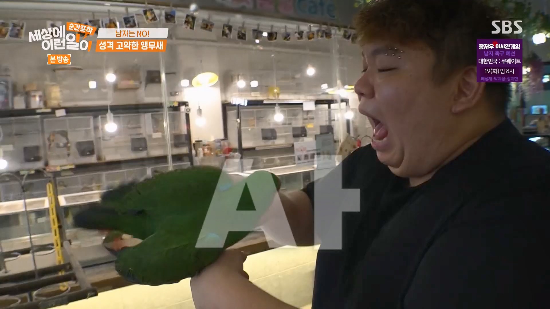 순간포착 세상에 이런일이.E1246.230916p.H264-F1RST.mp4_20230917_171123.554.jpg