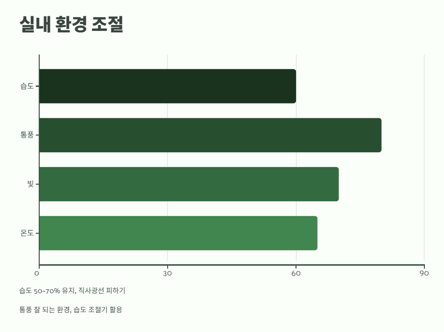 호접란 물주는 방법 13