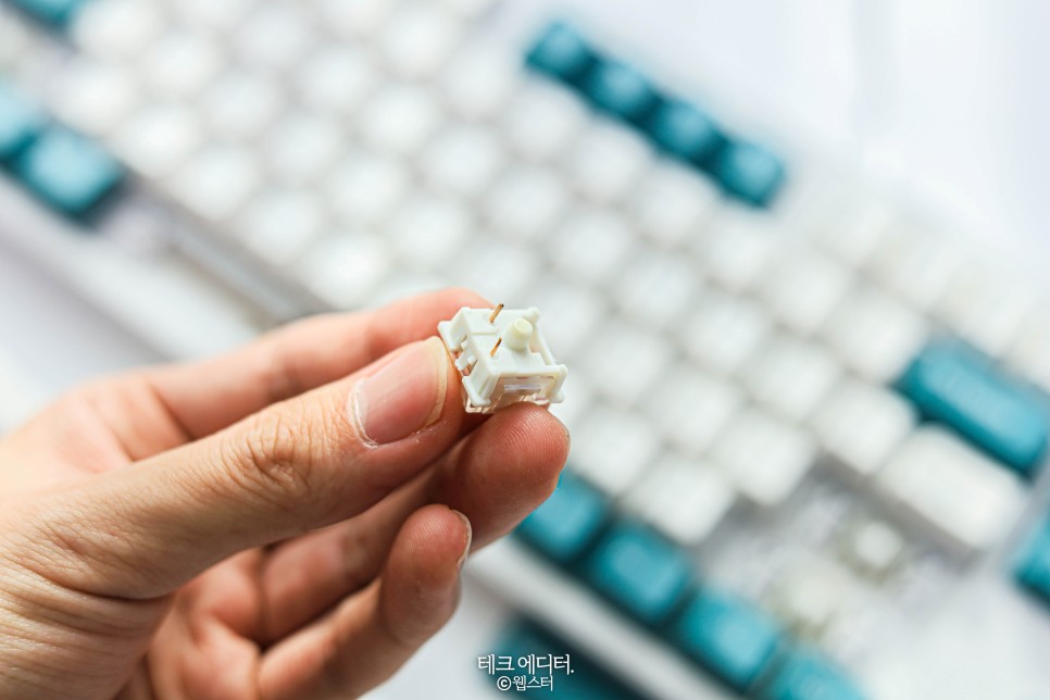 CK01 PBT SL 내돈내산 후기 가성비 저소음 키보드, 콕스 8