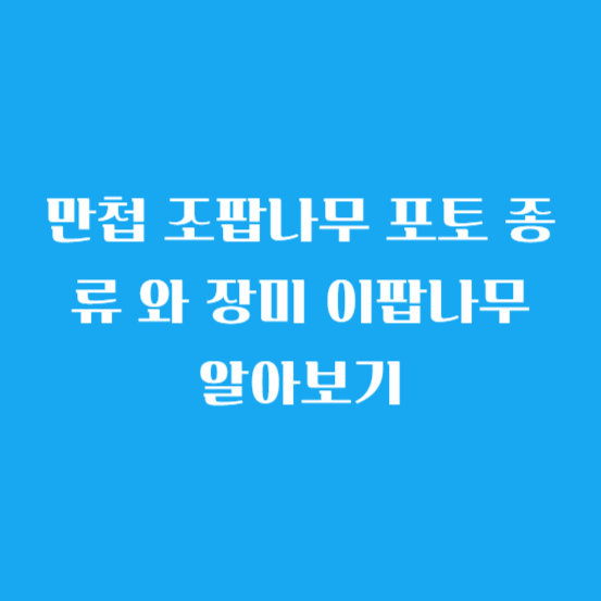 만첩 조팝나무 포토 종류 와 장미 이팝나무 알아보기