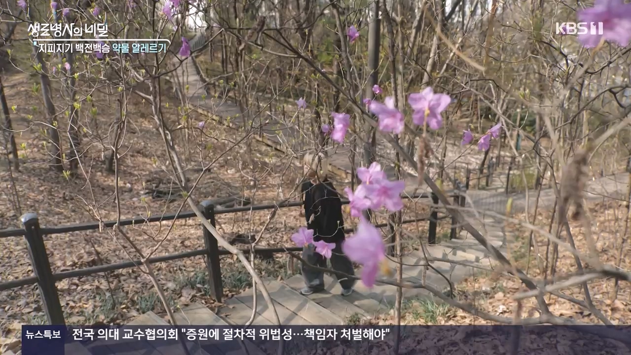 생로병사의 비밀.E910.240509p-NEXT.mp4_20240509_202515.883.jpg