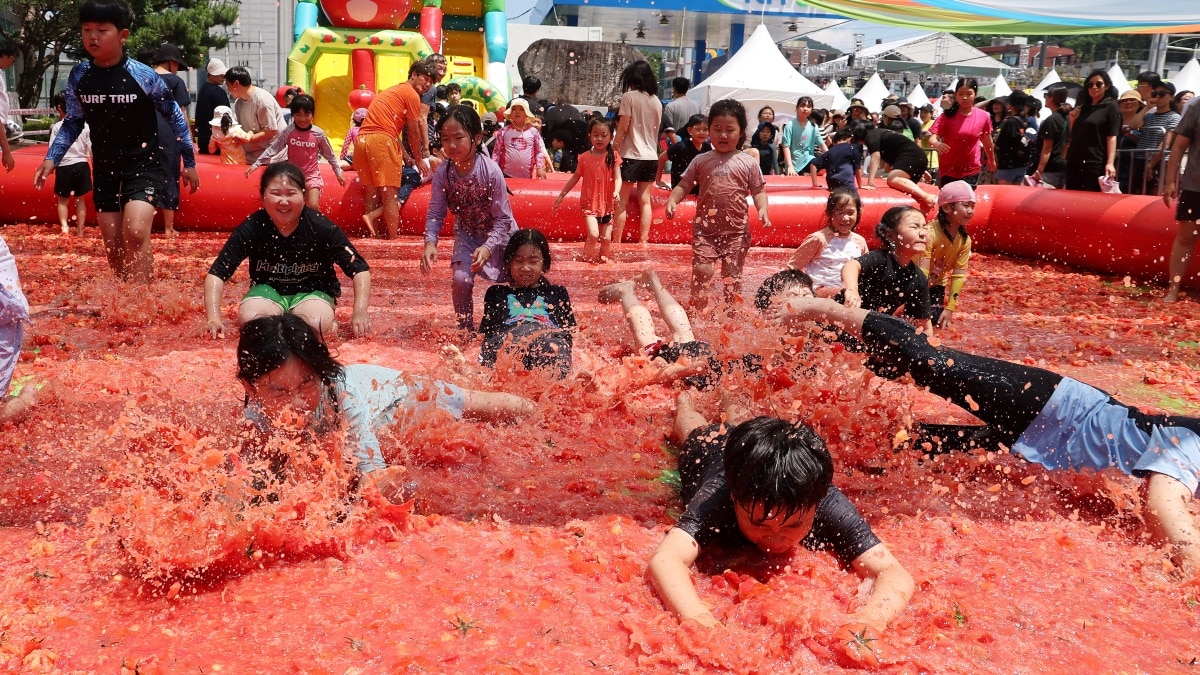 퇴촌 토마토 축제