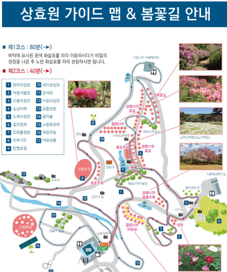 상효원 지도