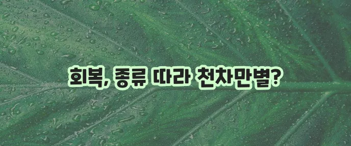 피부 레이저 시술 후 재생기간 꼭 알아봐야겠죠?