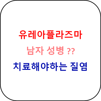  유레아플라즈마 남자 성병이 아니라 질염입니다