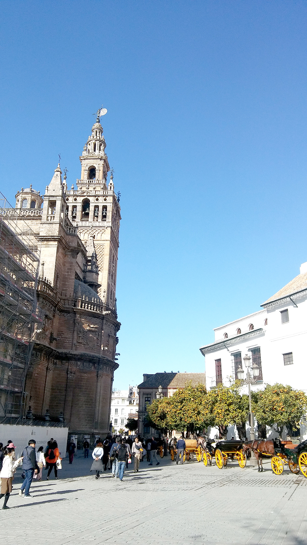 세비야 대성당(Sevilla Cathedral)