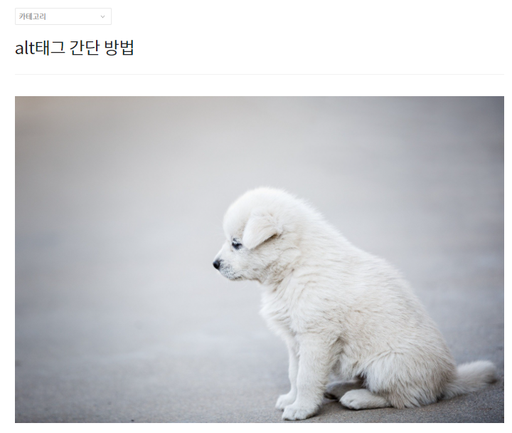  티스토리 블로그 에디터 업데이트 alt태그 이미지 넣는 방법 변경