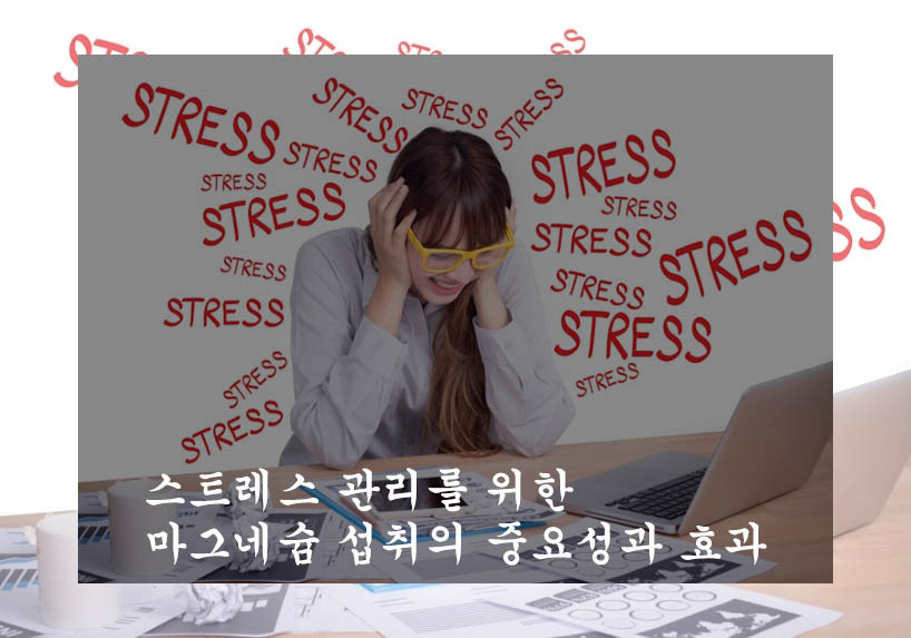  스트레스 관리를 위한 마그네슘 섭취의 중요성과 효과