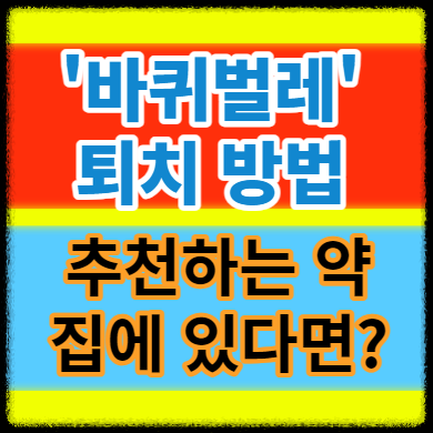  바퀴벌레 퇴치 및 없애는법  추천하는 약과 해결하기