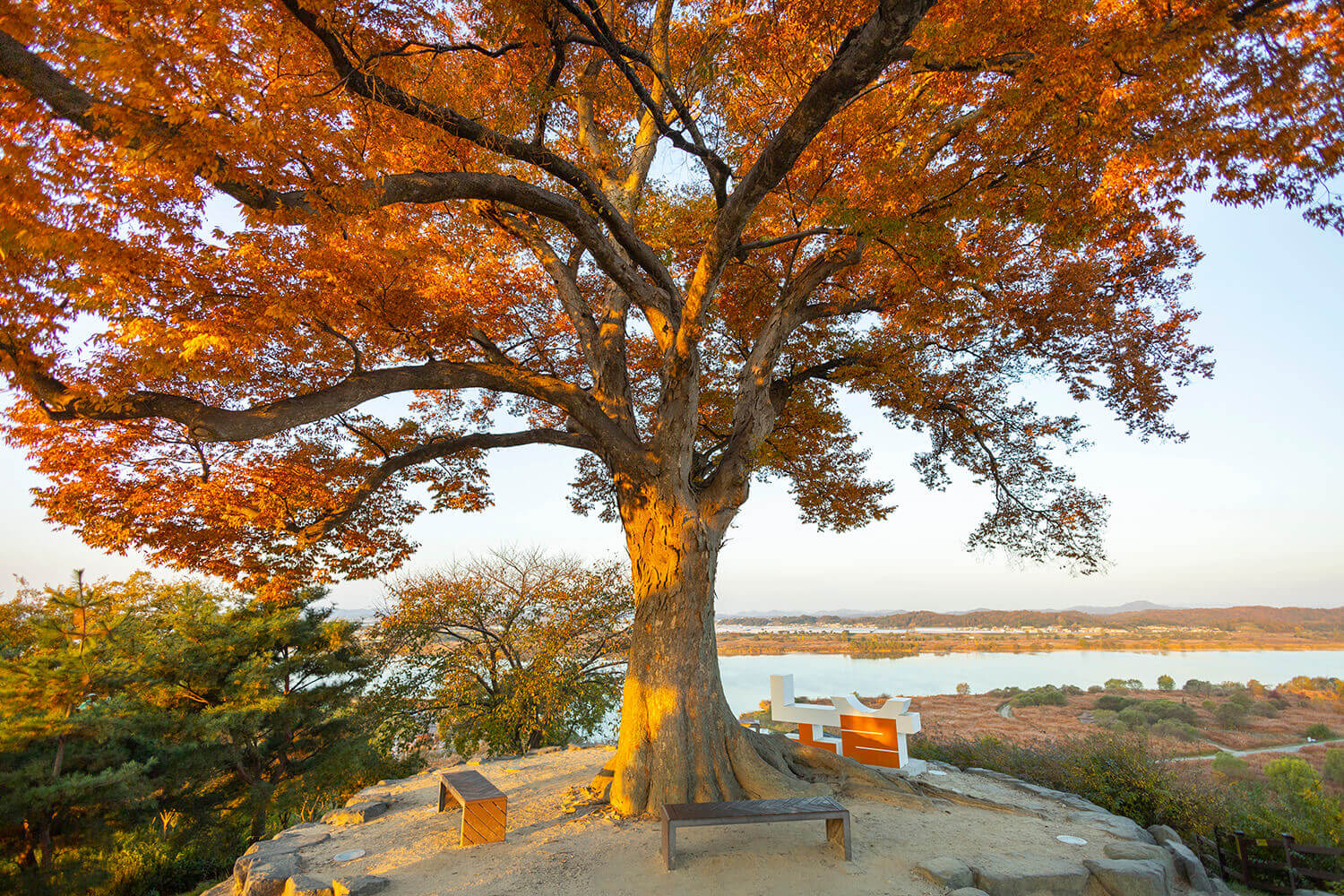 강경읍-옥녀봉